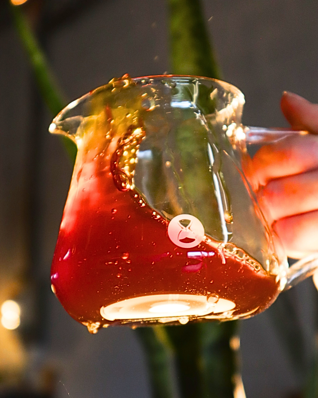 LOLLIPOP Espresso